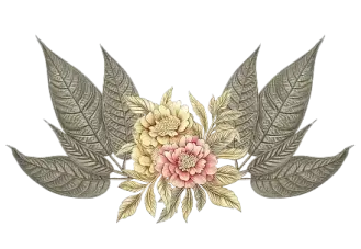 img-title